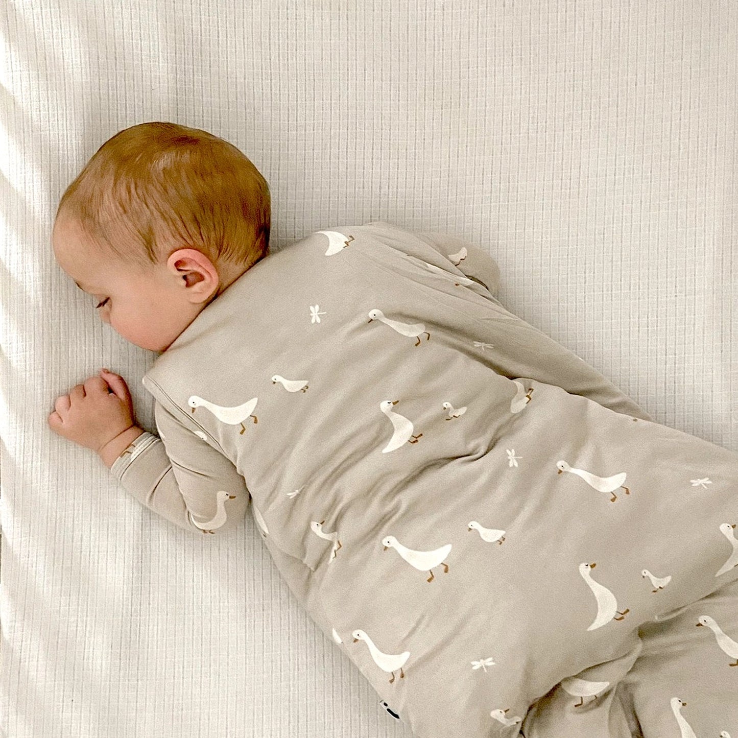 Sleep Bag/ Sleep bag Swaddle - Goose Print