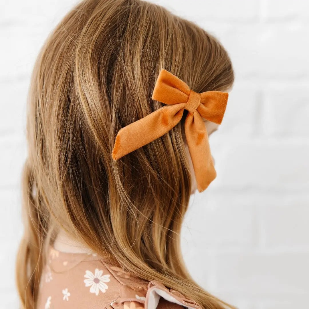 Spiced Velvet Bow on Clip