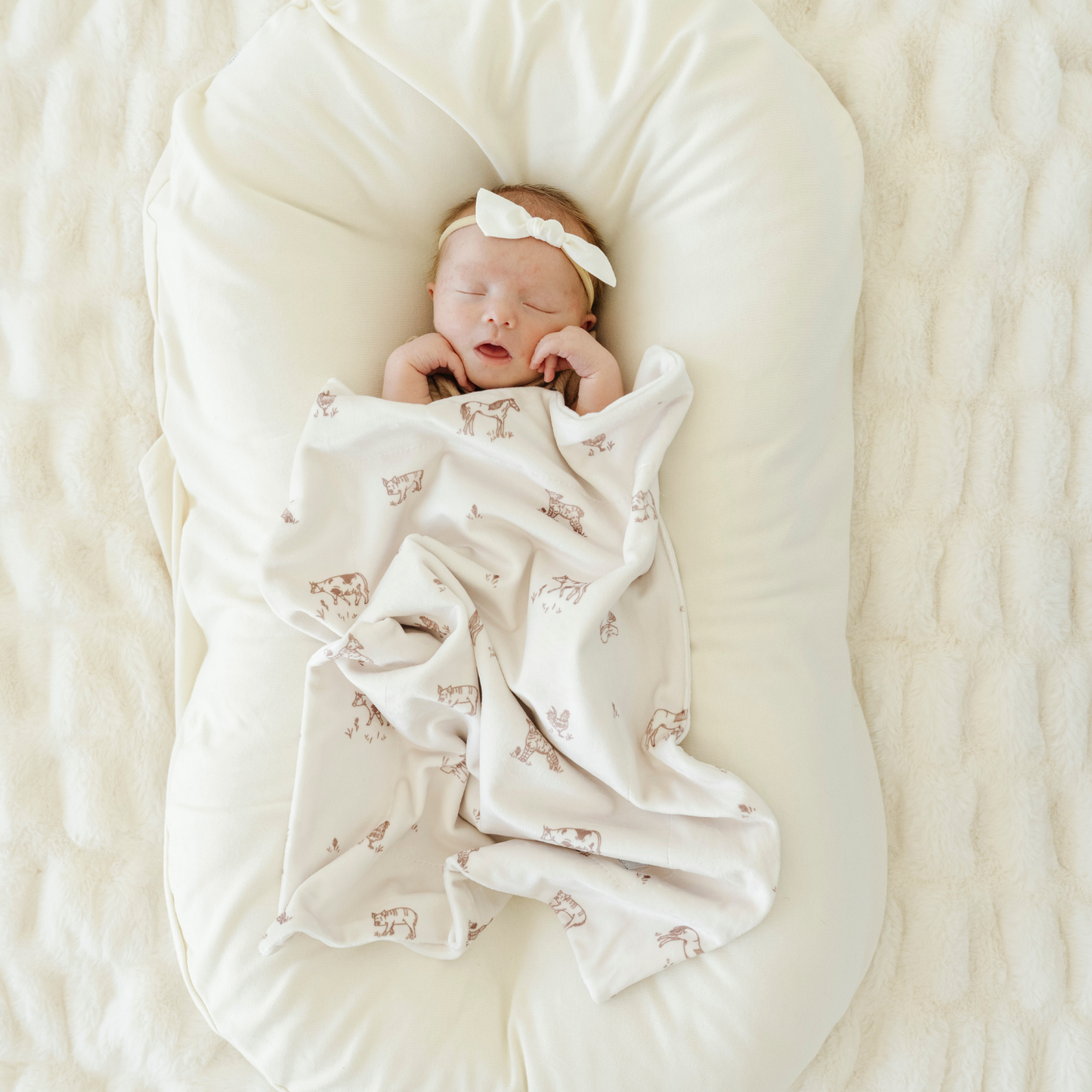 Minky Stretch Mini Blanket - Farm Animals