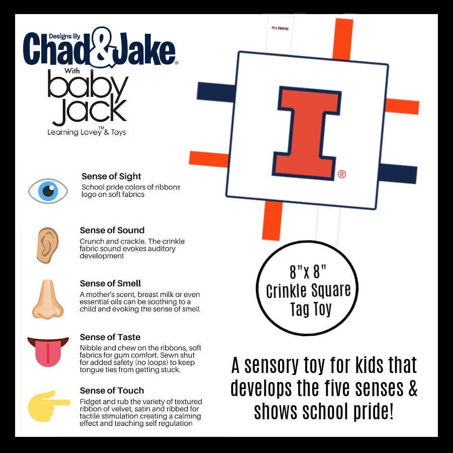 Illinois Fighting Illini Stroller Tag Toy Learning Lovey: 10x10 Basketball