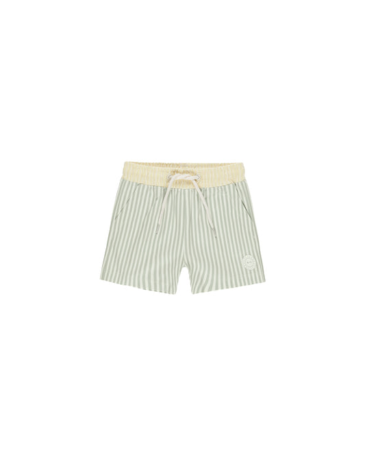Sage Stripe Boardshort