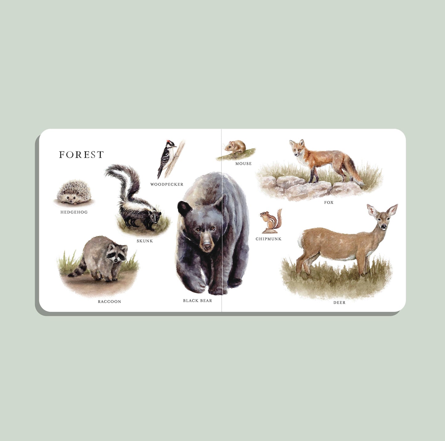 Paige Tate & Co. - Our Big Book of Animals (Board Book)