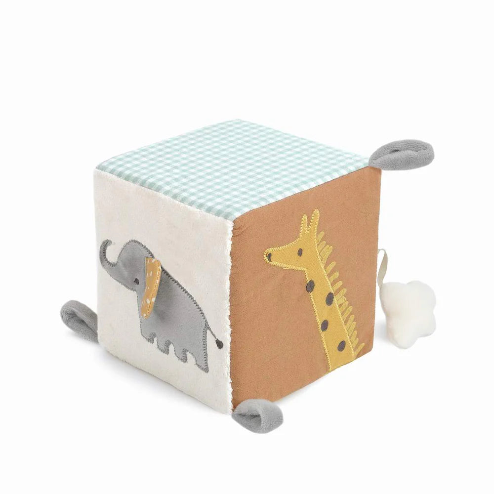 Safari Activity Cube