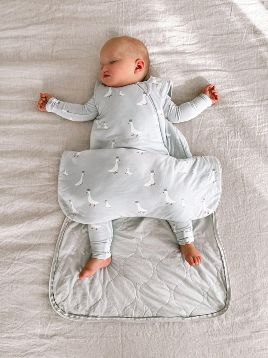 Sleep Bag/ Sleep Bag Swaddle - Crowned Goose Print