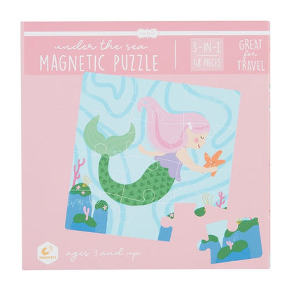 Magnetic Puzzles