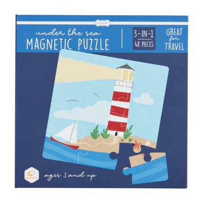 Magnetic Puzzles