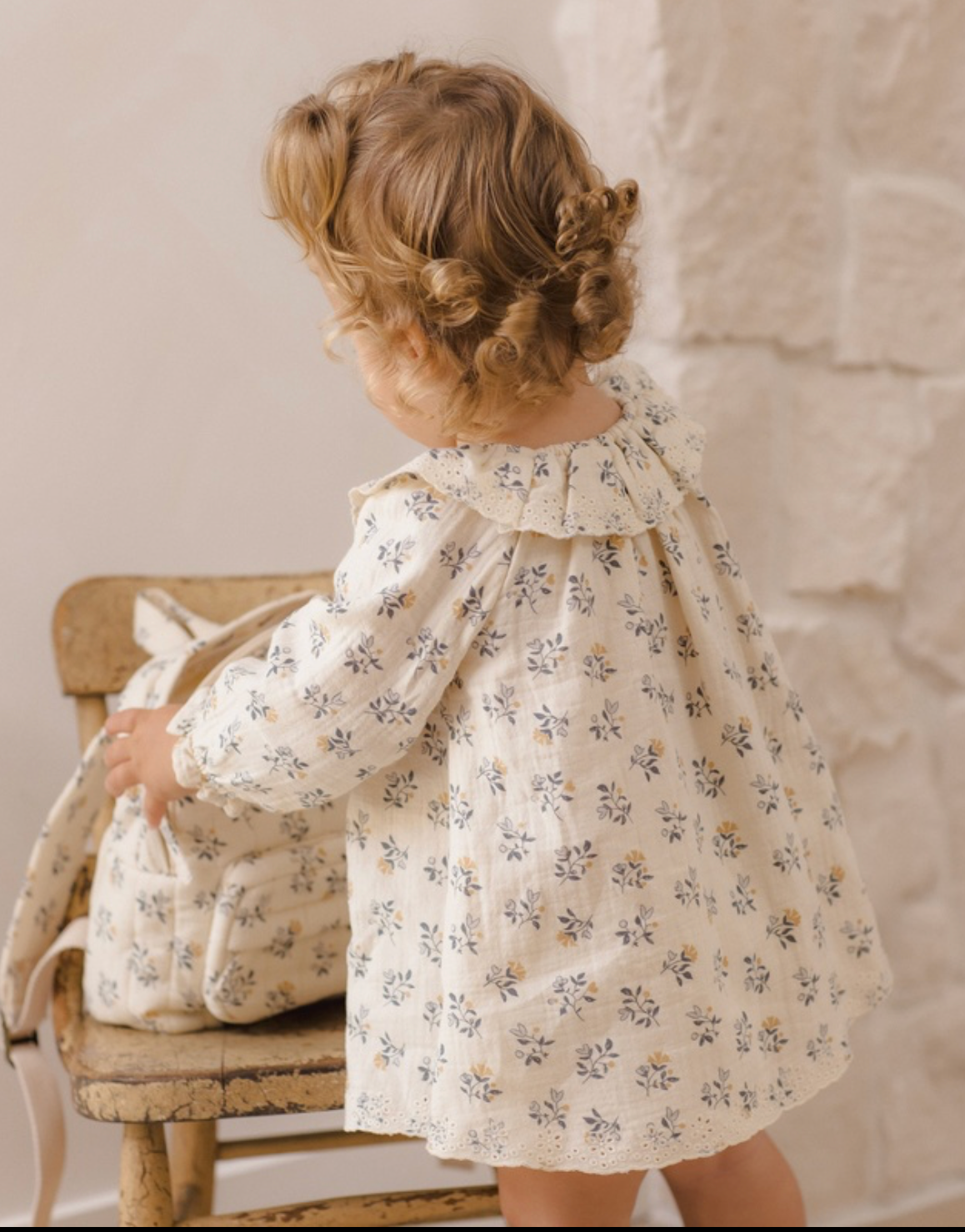Long Sleeve Isla Dress - French Floral