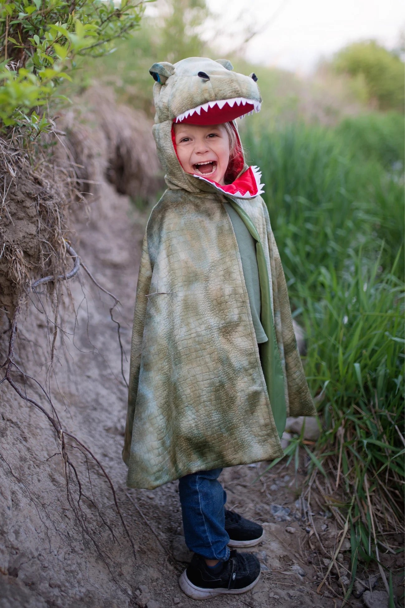Grandasaurus T-Rex Cape