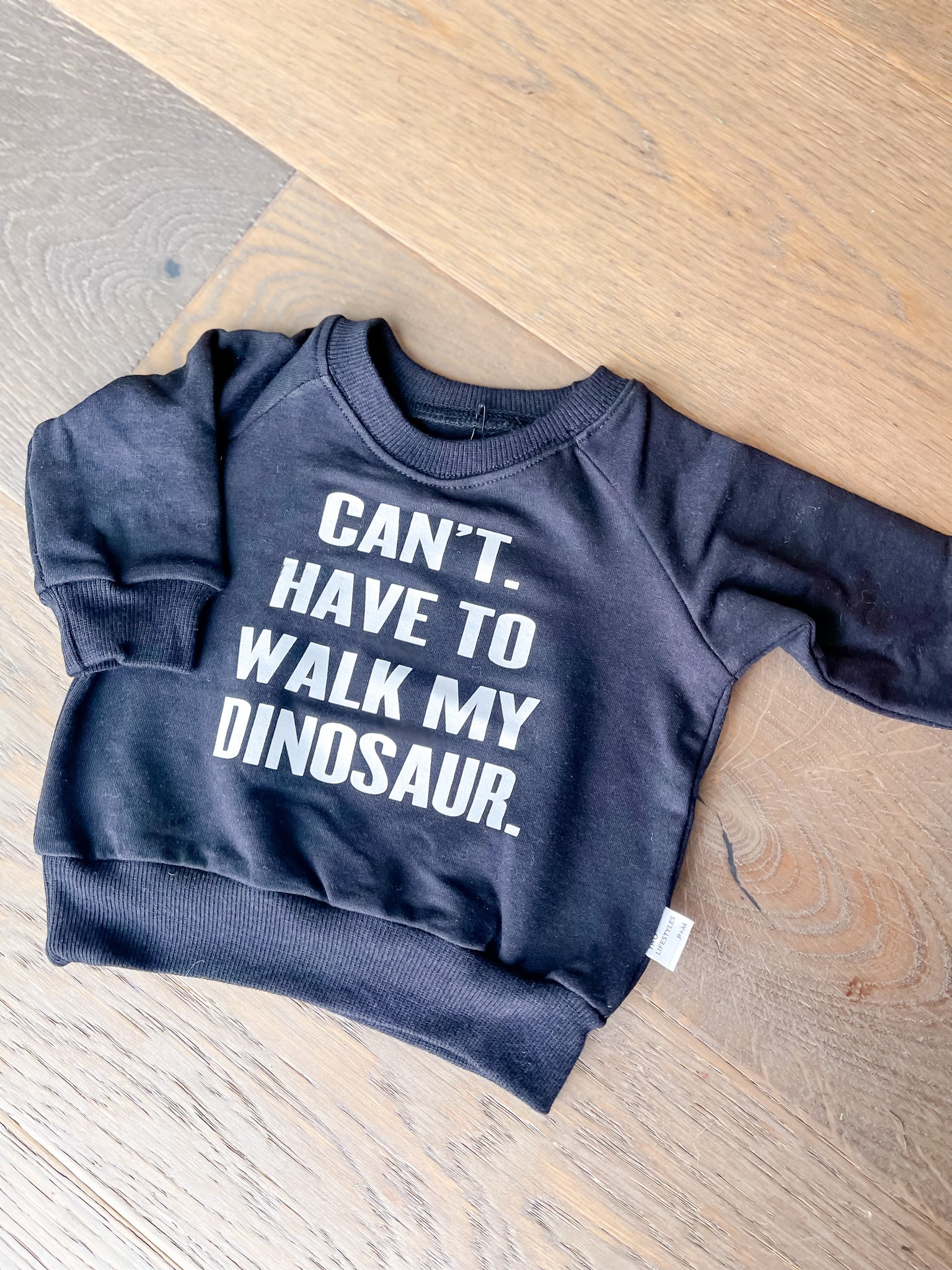 Walk My Dinosaur Pullover